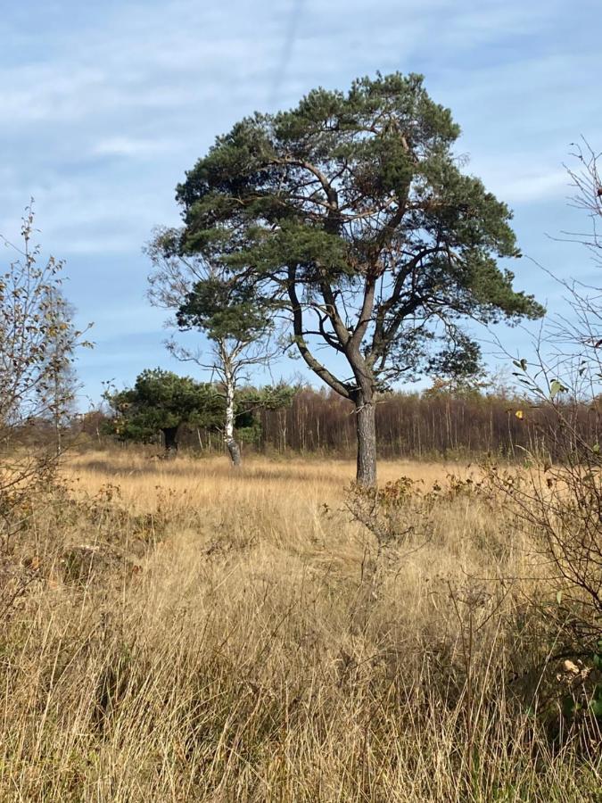 Apartment Landhausidylle *